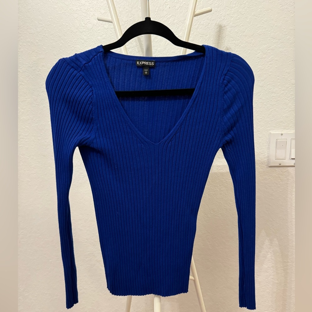 Express Sweater Blue